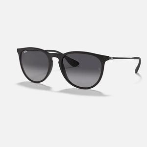 Ray Ban Erika Sunglasses